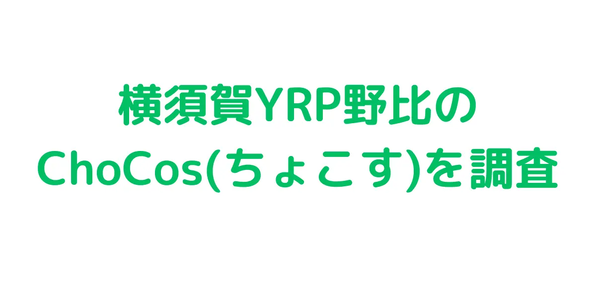 横須賀YRP野比のコストコ再販店ChoCos(ちょこす)を調査