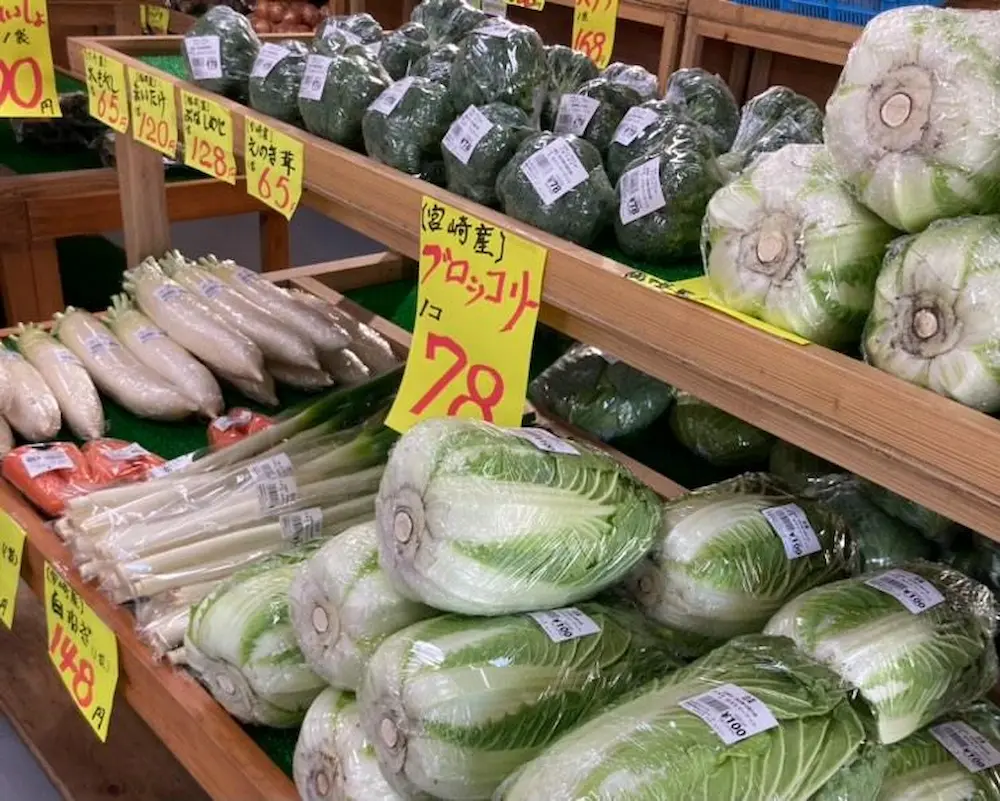 宮崎県のR219ほきたマーケットの野菜の品揃え